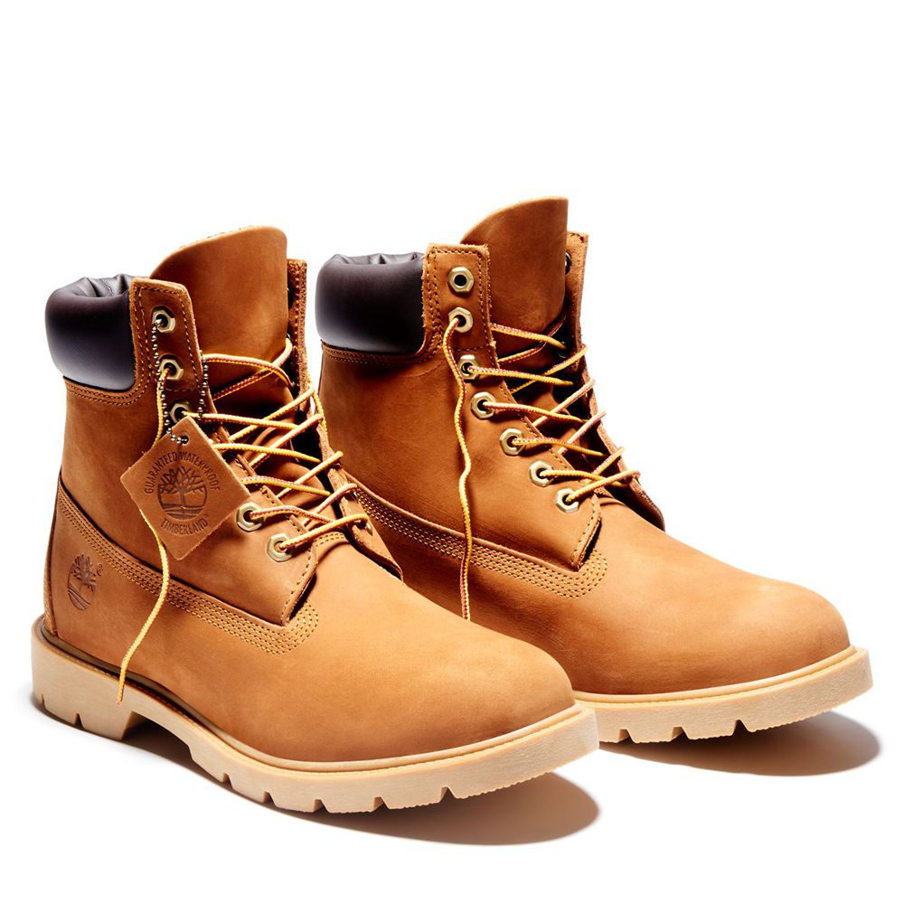 Botas de Nieve Timberland Hombre 6-Inch Basic Waterproof W/Padded Collar Marrones - Chile DZU-261308